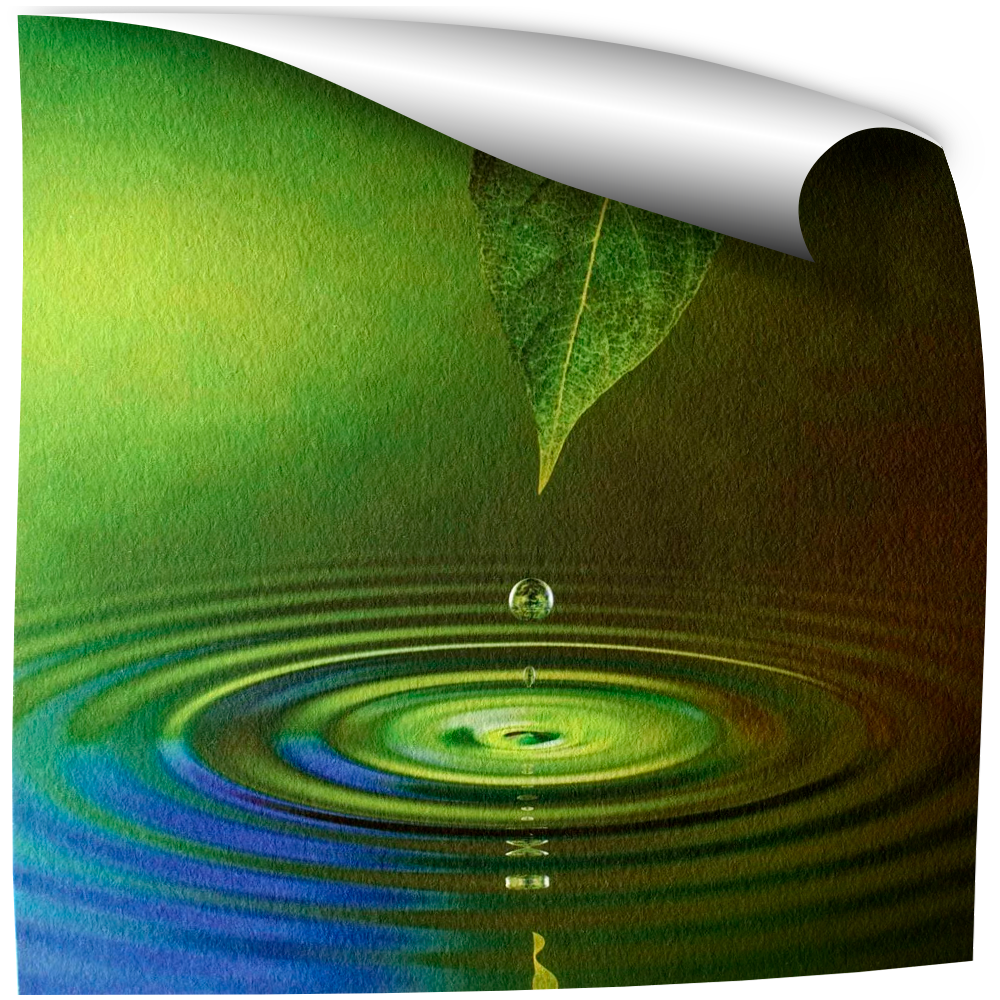 Canvas example image